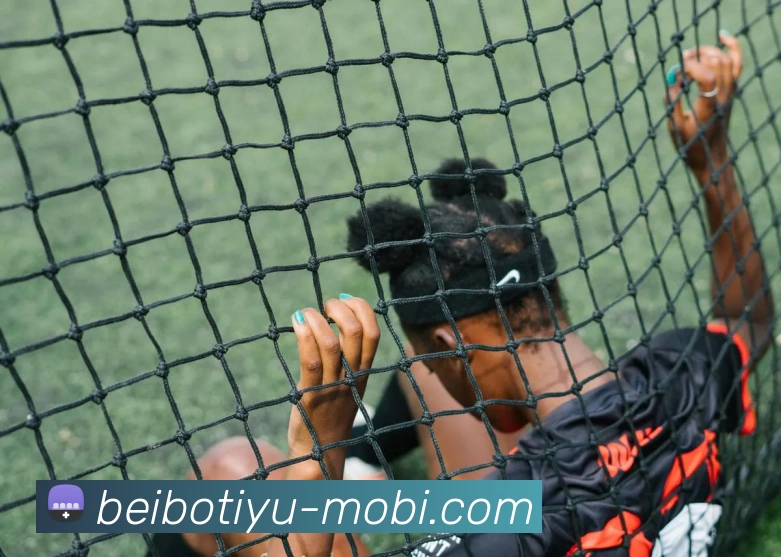 贝博体育平台生态图