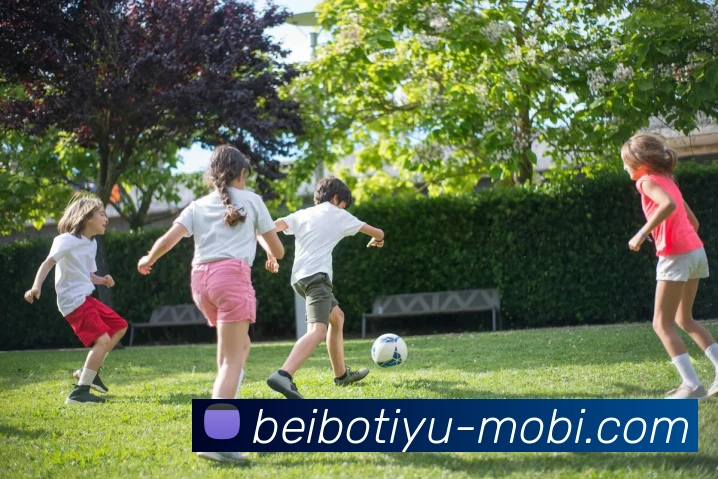 贝博体育APP 封面图